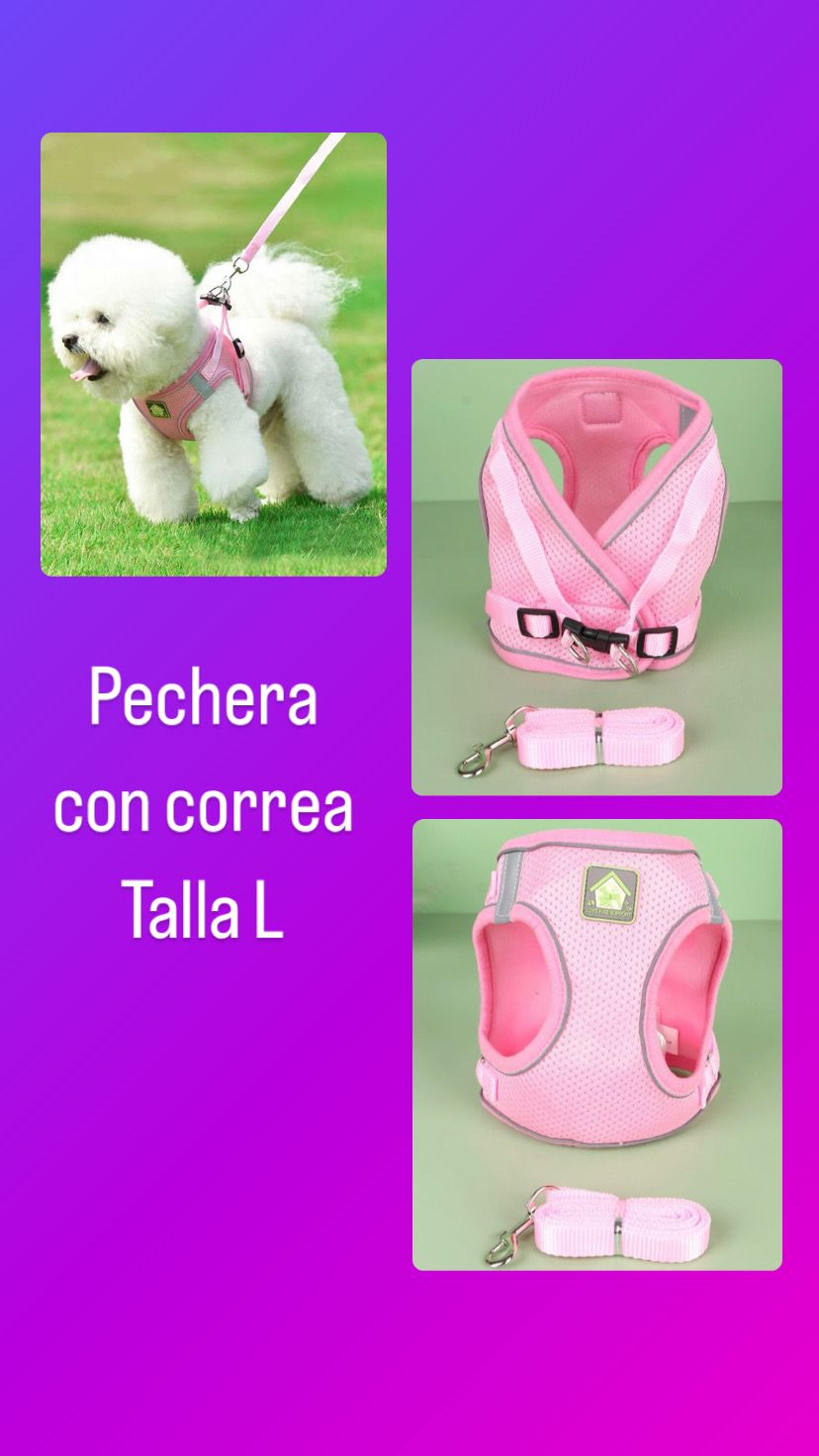 Pechera con correa