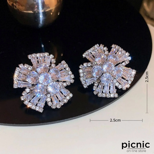 Aretes brillantes